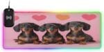 Three Friendly Dogs Gaming Mouse Pad Led Mousepads RGB Backlit with 14 Lighting Modes, Non Slip Base Soft Computer Keyboard Mat for Gaming PC Laptop Desk, S